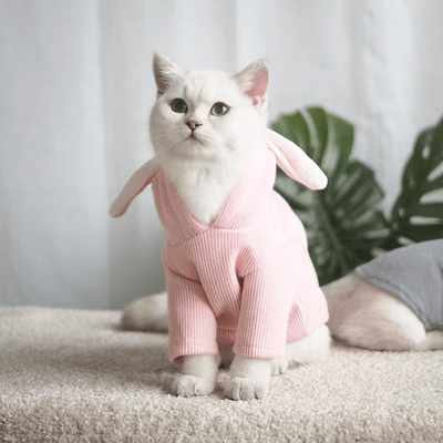 Mèo dễ thương quần áo mèo cưng chó mèo quần áo Anh ngắn bạc gradient  Garfield