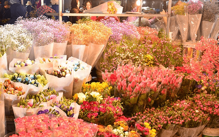 Chợ hoa Quảng Bá - Kinh nghiệm khám phá, check-in 2023